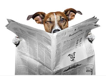 INFOS INVESTIGATIONS